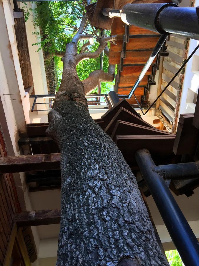 Eco Hotel Gota Del Chaco Villamontes Eksteriør bilde