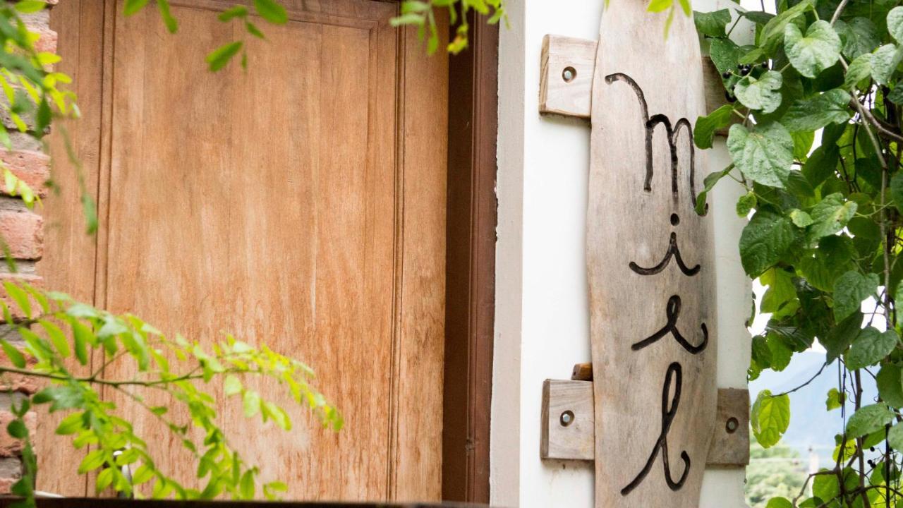 Eco Hotel Gota Del Chaco Villamontes Eksteriør bilde